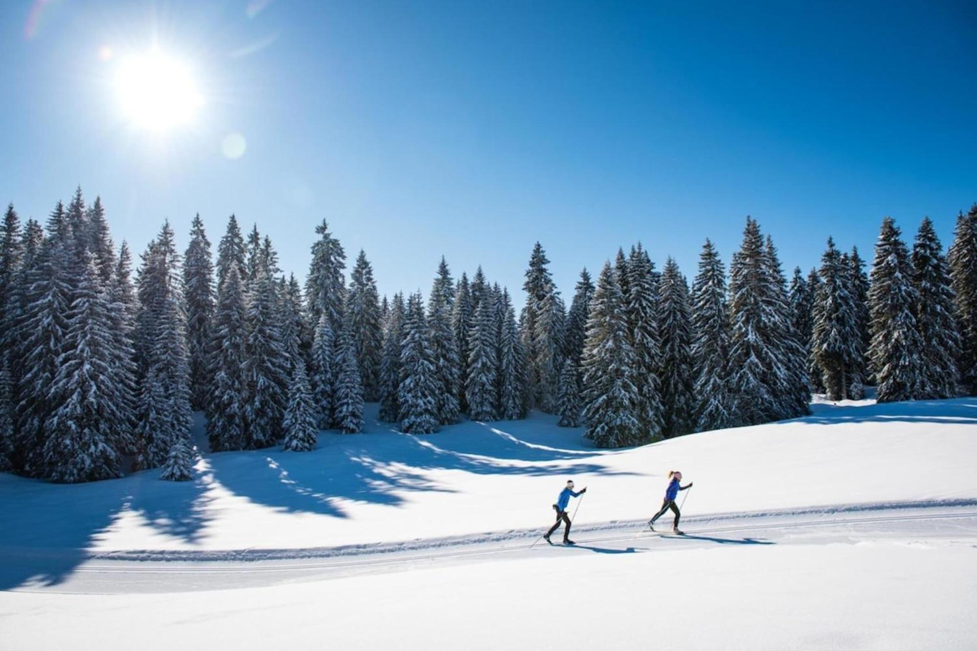 Superbe Appartement Au Pied Des Pistes -Le Chamois 레데세르 외부 사진